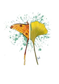Image 1 of Moth and ginkgo
