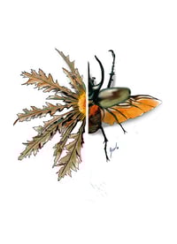Image 1 of Thistle and stag beetle