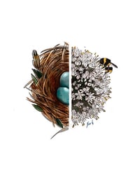 Image 1 of Nest and onion flower