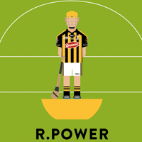 Image 2 of KILKENNY HURLERS 2009