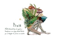 Image 1 of Pixie