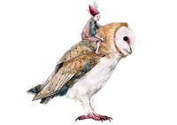 Image 1 of Elf/Follet