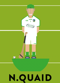 Image 2 of LIMERICK HURLERS 2018