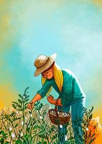 Image 3 of Seasons: Summer pack