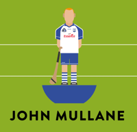 Image 2 of WATERFORD HURLERS 2007