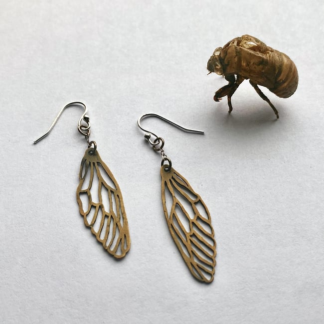 Cicada Wing Earrings