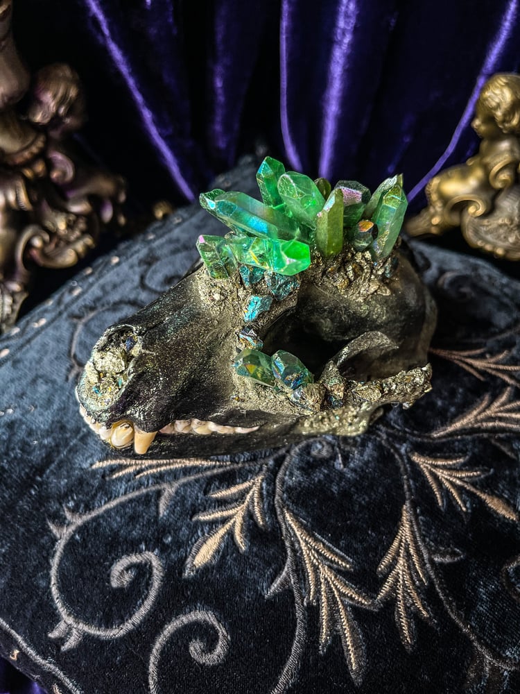 Image of Chalcopyrite & Green Aura Quartz - Raccoon Skull