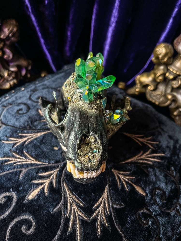 Image of Chalcopyrite & Green Aura Quartz - Raccoon Skull