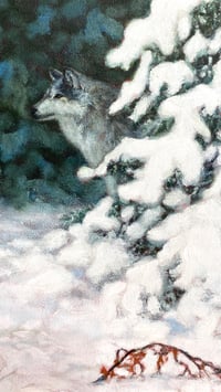 Image 5 of Snow- Melonie Steffes