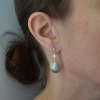Image 3 of Sterling Silver and Freshwater Pearl Shell Studs