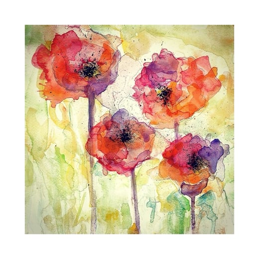 Poppies