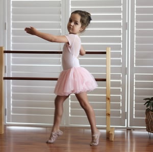 Image of Wooden Ballet Barre   