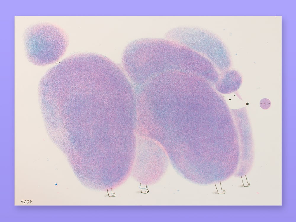 Image of POM POM POODLE