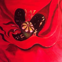 Image 2 of Intimate Crimson Poppy | original canvas