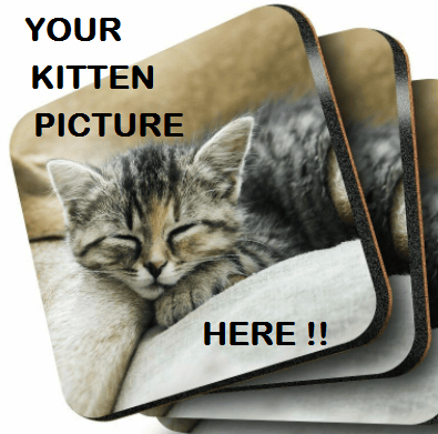 Image of Pet Photo Coasters