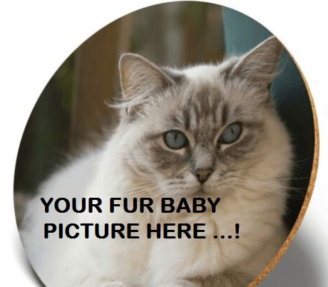 Image of Pet Photo Coasters