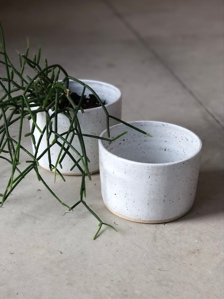 Image of planters in speckled frost