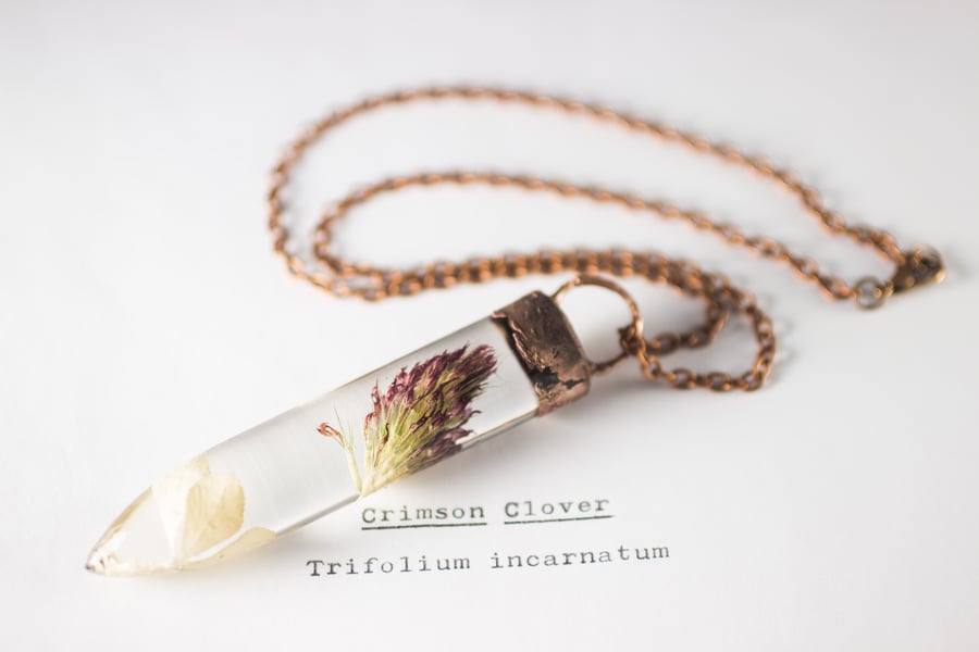 Image of Crimson Clover (Trifolium incarnatum) - Large Copper Dipped Pendant