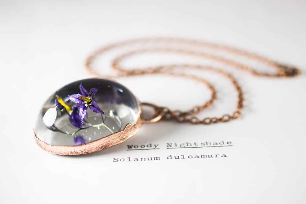 Image of Woody Nightshade (Solanum dulcamara) - Copper Plated Necklace #4
