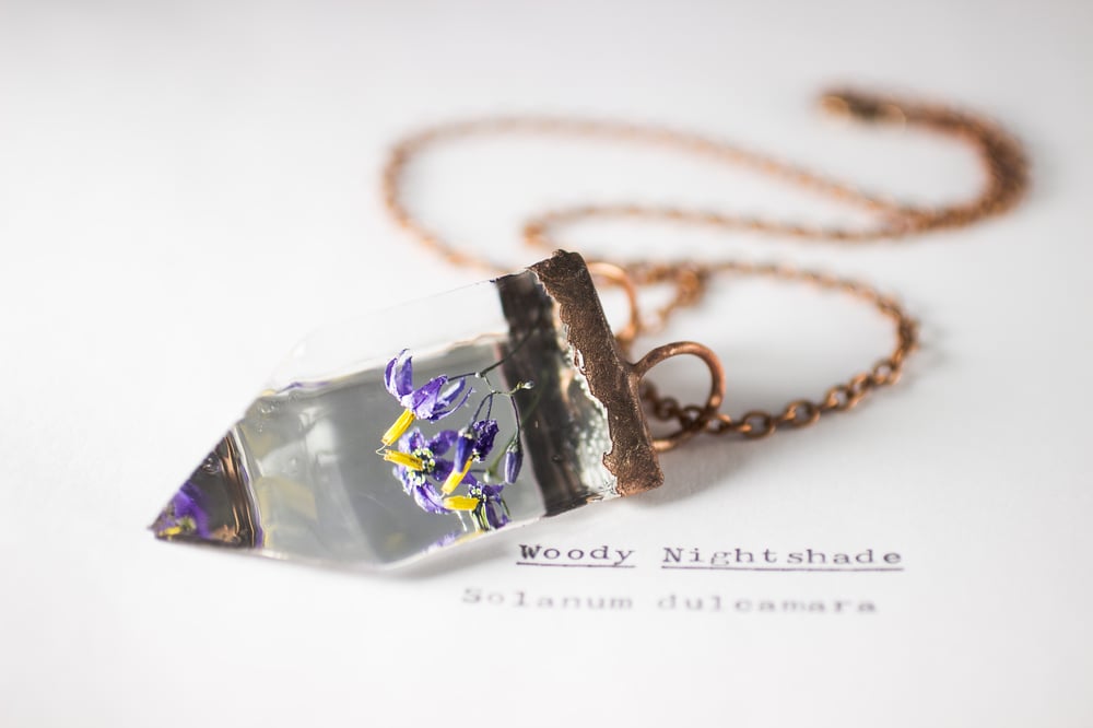Image of Woody Nightshade (Solanum dulcamara) - Small Copper Prism Necklace #3