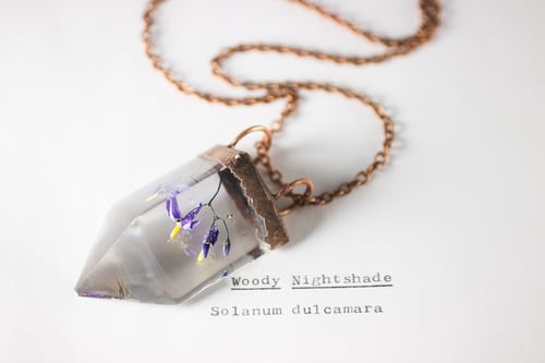 Image of Woody Nightshade (Solanum dulcamara) - Small Copper Prism Necklace #3