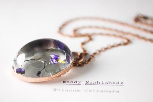 Image of Woody Nightshade (Solanum dulcamara) - Copper Plated Necklace #5