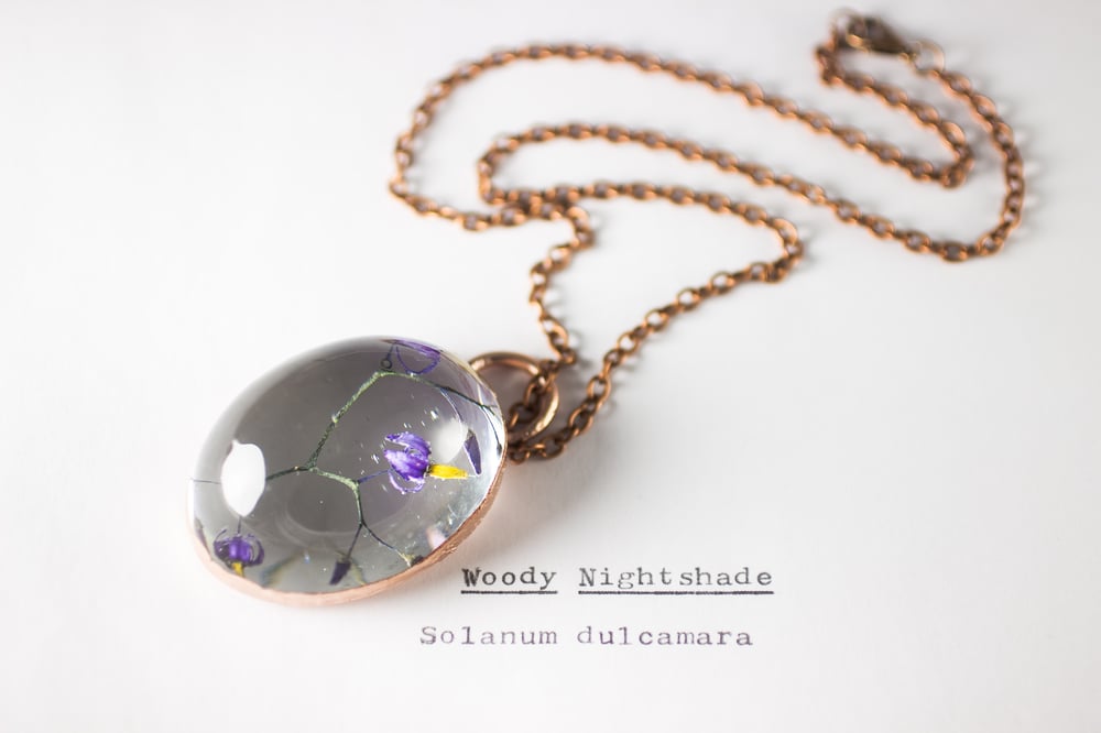 Image of Woody Nightshade (Solanum dulcamara) - Copper Plated Necklace #5