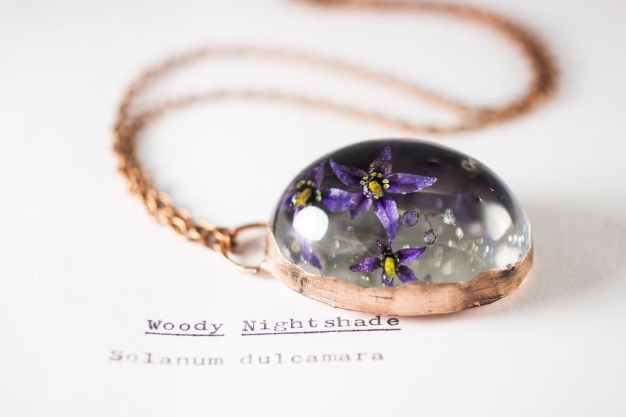 Image of Woody Nightshade (Solanum dulcamara) - Copper Plated Necklace #1