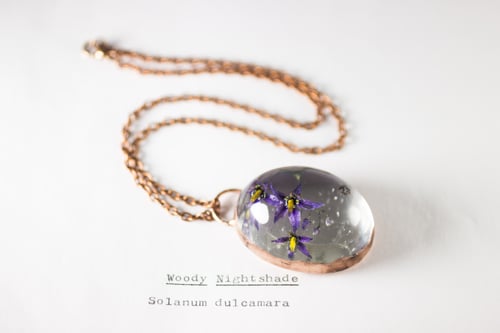 Image of Woody Nightshade (Solanum dulcamara) - Copper Plated Necklace #1