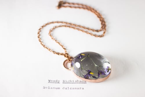Image of Woody Nightshade (Solanum dulcamara) - Copper Plated Necklace #6
