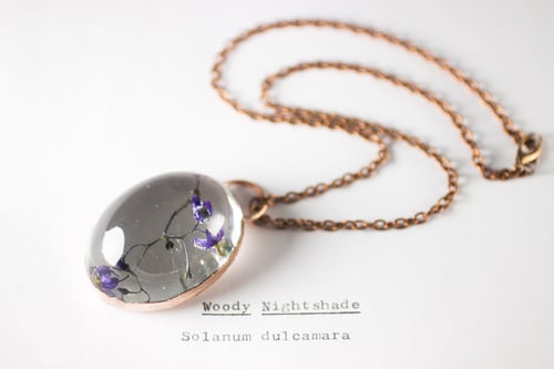 Image of Woody Nightshade (Solanum dulcamara) - Copper Plated Necklace #3