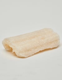 “LuLu Loofah” (5pk or 10pk)