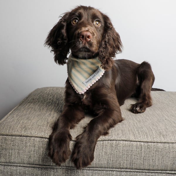 Image of THE CECILY NECKERCHIEF