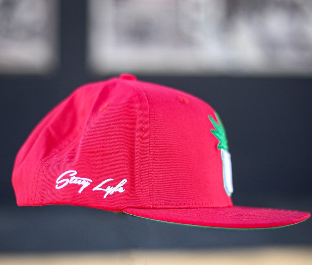 UALLREADYKNOW SNAPBACK RED-STUY EDITION