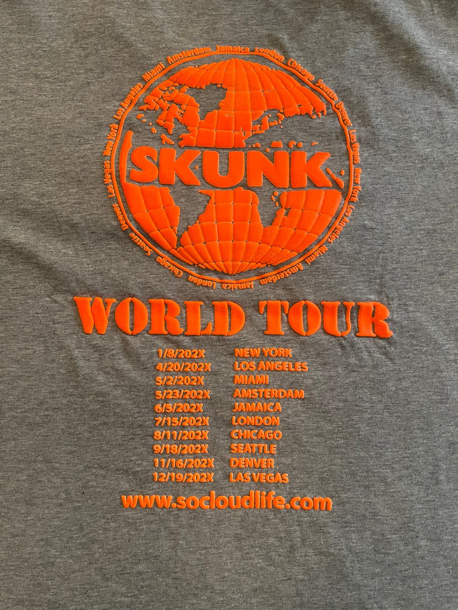 Image of Skunk The World Tour tee (grey/orange)