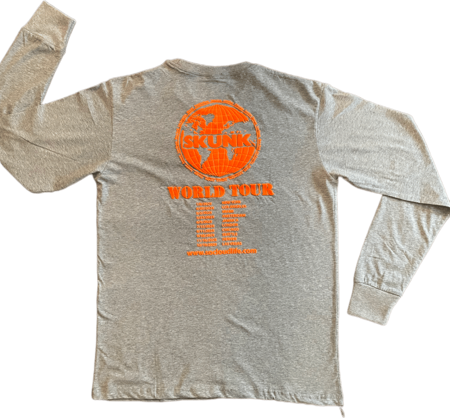 Image of Skunk The World Tour tee (grey/orange)