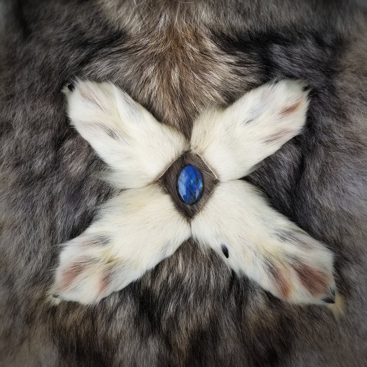 Image of Wolf Paws with Claws