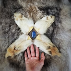Image of Wolf Paws with Claws