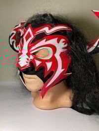 Image 2 of Psychosis Masks To Be Personally Autographed LIVE