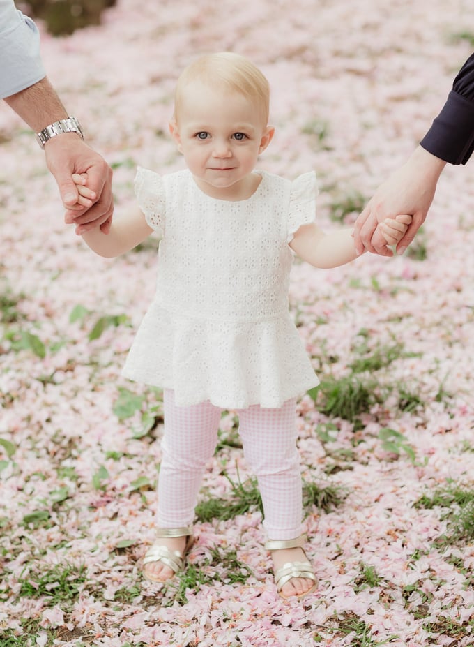 Image of 2021 Cherry Blossom Mini Sessions
