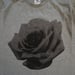 Image of Black Roses tee