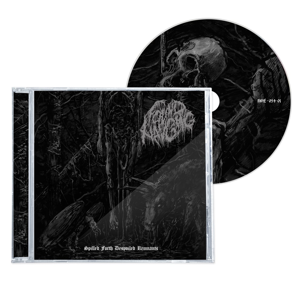 Image of FOUND HANGING "SPILLED FORTH DESPOILED REMNANTS" CD
