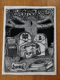 Image 1 of Reborn From Ashes Zine