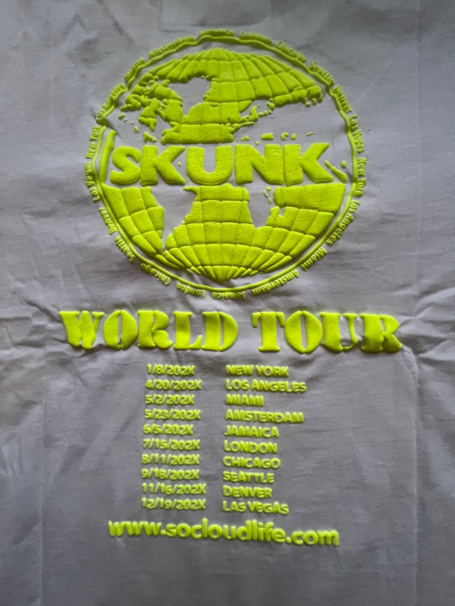 Image of Skunk the world tour tee (white/slime)