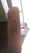"Ghetto Bird" Skate deck