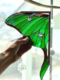 Image 3 of Luna Moth Corner 