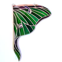 Image 2 of Luna Moth Corner 