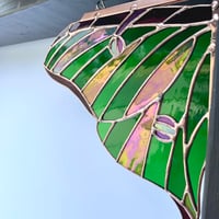 Image 5 of Luna Moth Corner 