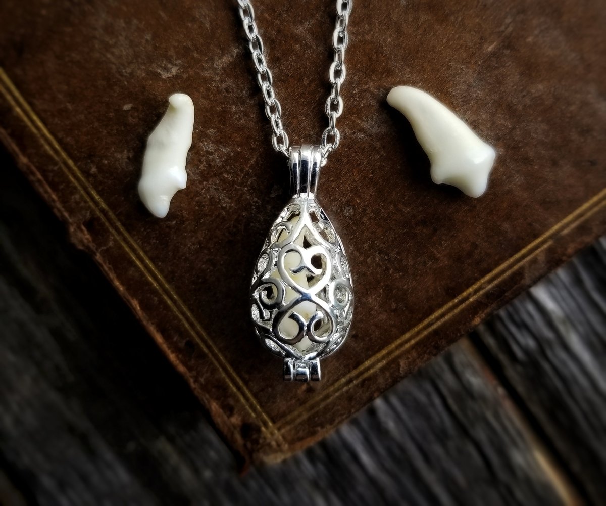 Image of Wolf Tooth Locket