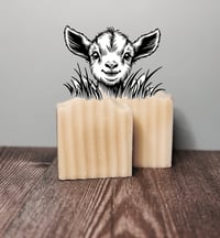 Baby Goat 